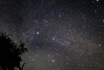 夏の夜空♪